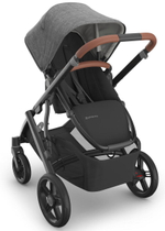 Коляска для погодок UPPAbaby Vista V3 2 в 1 (2 прогулочных блока и люлька) Greyson