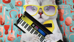 Микровелюр Xpoint (Икспоинт) 0030.02 Кошка с гитарой