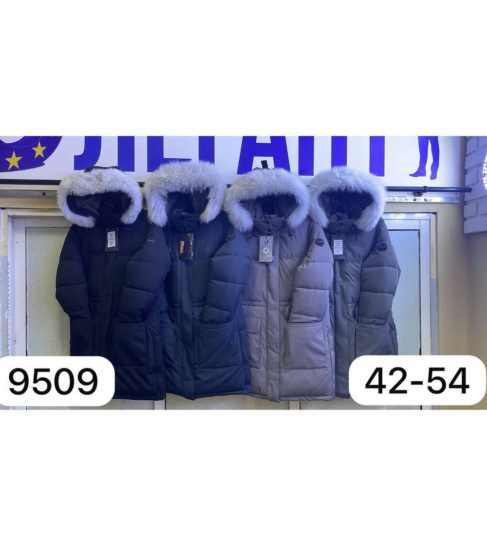 Зимняя парка