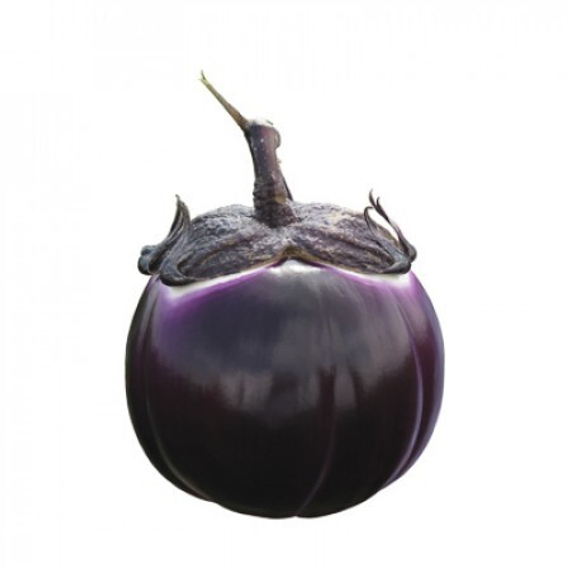 САБЕЛЛЕ F1 семена баклажана (Rijk Zwaan | Alexagro) – фото 4