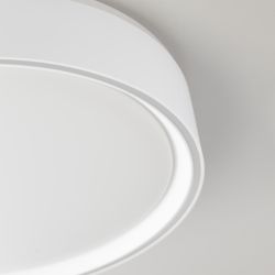 Citilux BOSS CL751250G LED RGB Светильник с пультом Белый