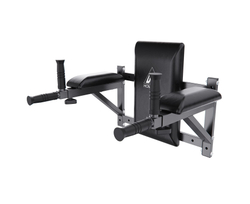 Брусья настенные DFC Homegym G294