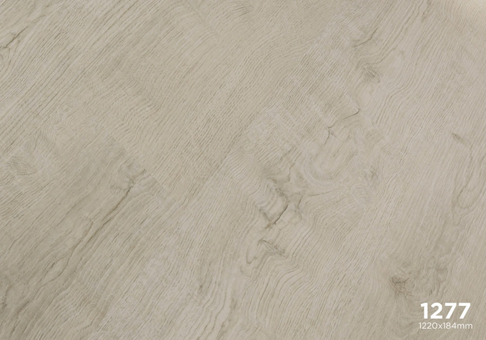 1277 Forest Collection SPC