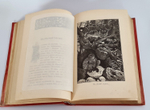 "Из жизни русской природы. Зоологические очерки и рассказы". М.Н.Богданов. 1889г. - антикварное издание
