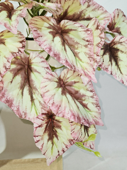 Искусственная Бегония розовая 40см в кашпо