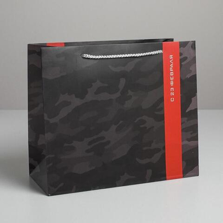 Пакет ламинированный горизонтальный «С 23 февраля», ML 27 × 23 × 11,5 см