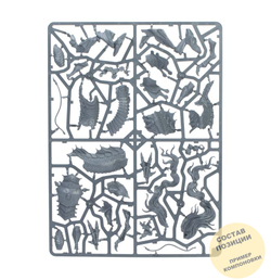 Miao Ying (Storm Dragon only)