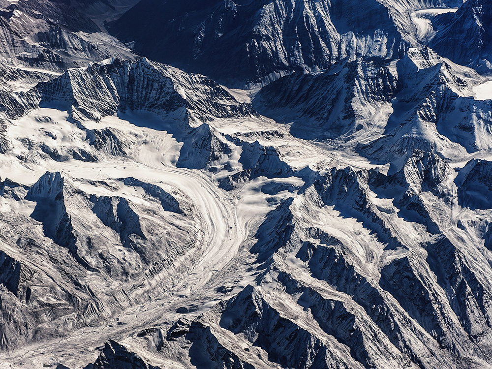 Дизайнерские обои Wall Street Bird see