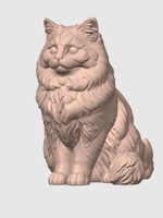 Рэгдолл кошка
