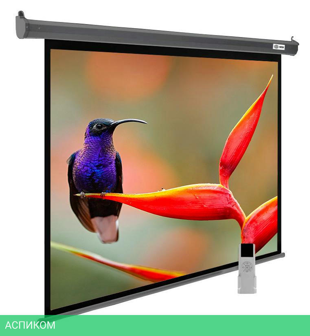 Проекционный экран Cactus CS-PSSME-220X138-DG