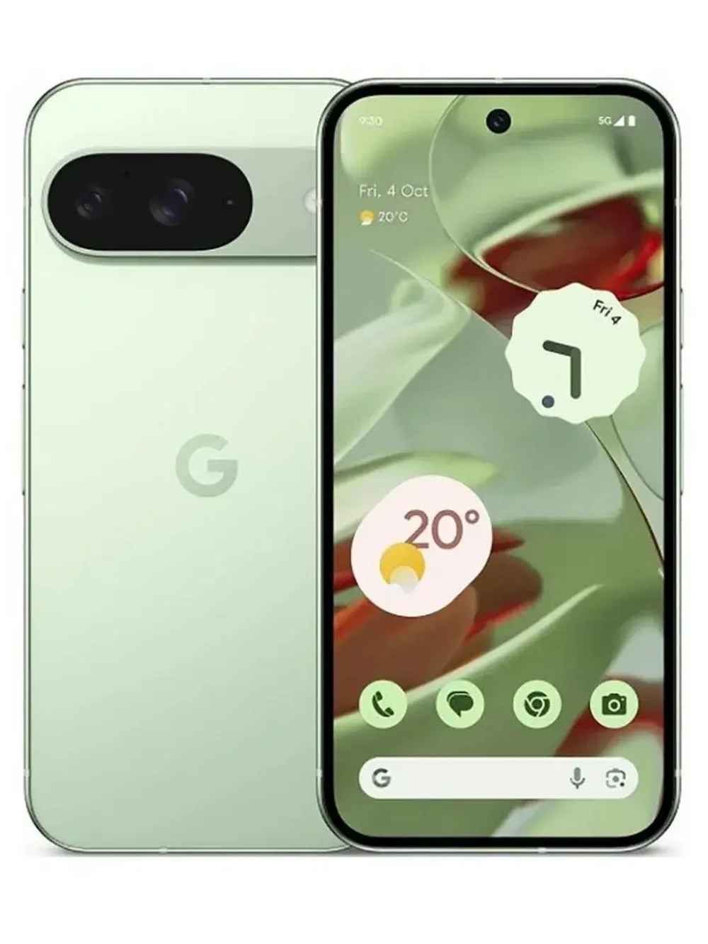 Смартфон Google Pixel 9 12/256GB, Wintergreen