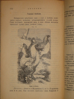 "Иллюстрированный гомеопатический лечебник для домашних животных. Руководство к предупреждению и гомеопатическому лечению болезней лошадей, рогатого скота, овец, свиней, собак и домашней птицы". Вильмар Швабе. 1880г.