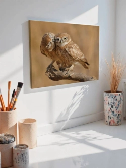 Картина на стену 40 X 50 Совы