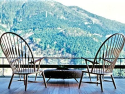 Кресло Peacock