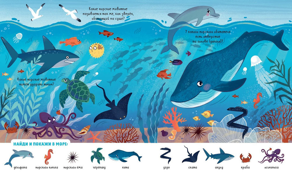 Найди и покажи. Мои любимые животные