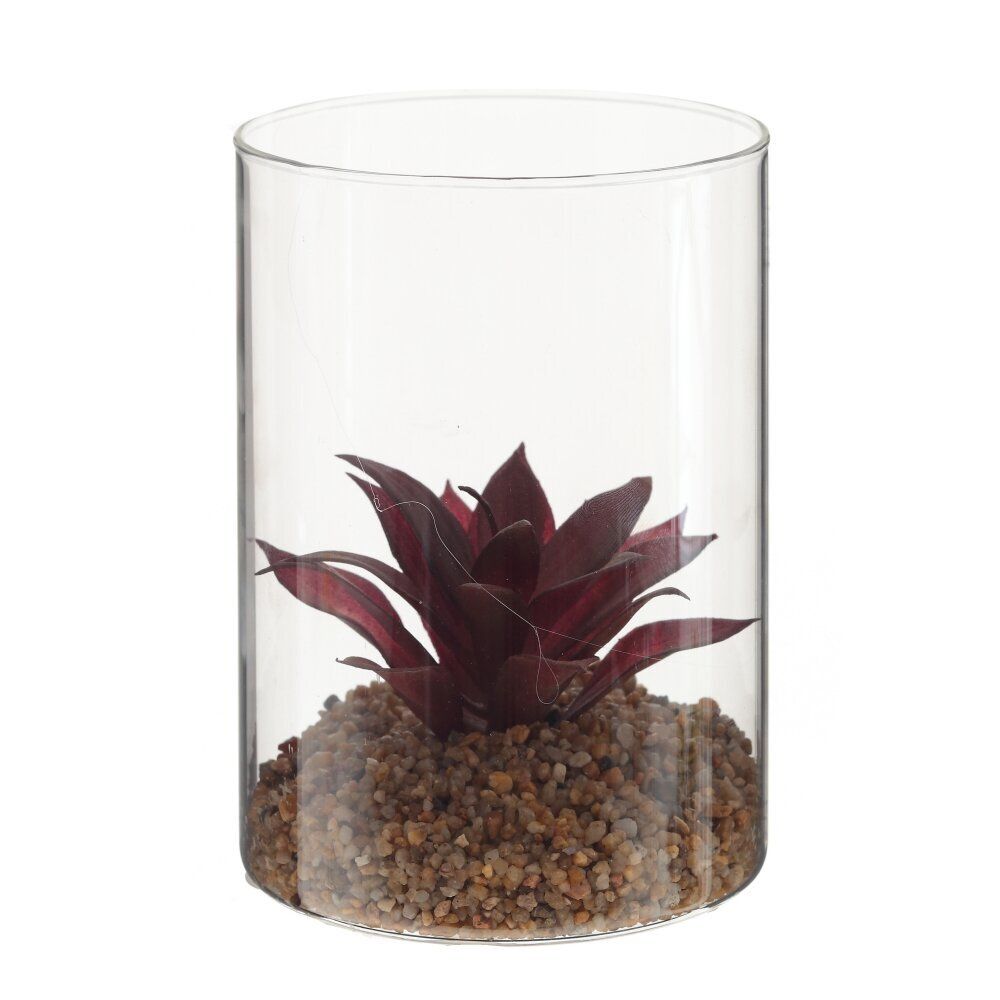 GAEM Цветочная композиция "Суккулент", L13 W13 H33 см