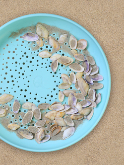 Летающий диск с ситом для песка Quut Flying disc