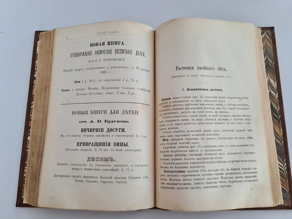 "Детский отдых. Ежемесячный иллюстрированный журнал для детей". 1895г.