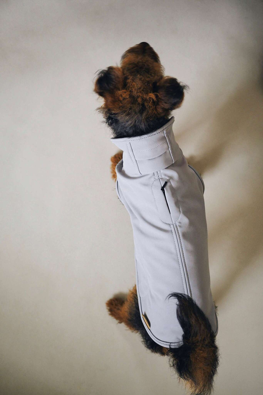 Попона "Пони-попони" светло-серая