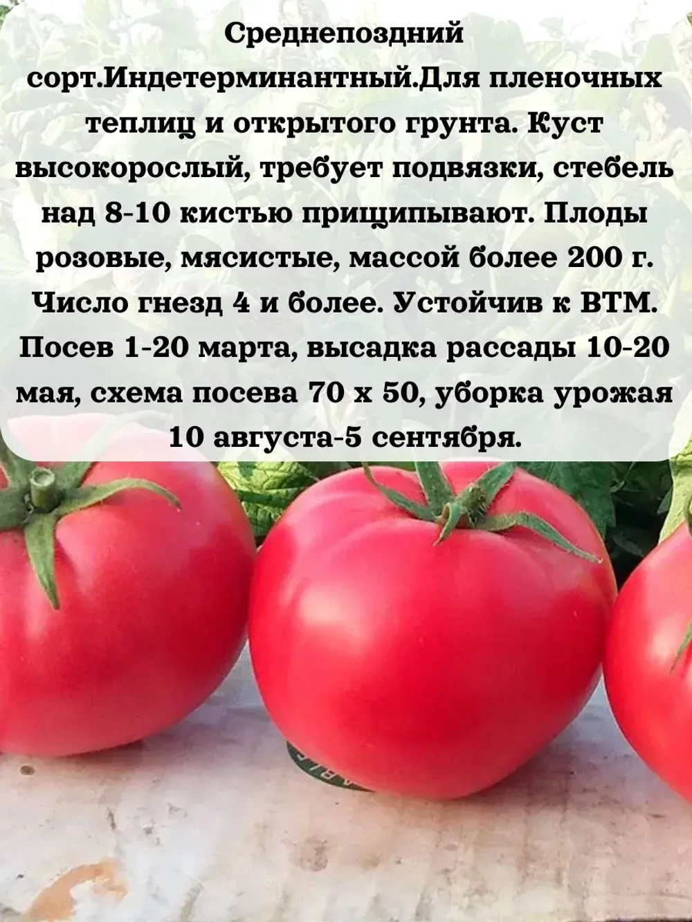 Семена Томат Добрыня Никитич 0.2 гр