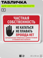 Табличка для частной территории "Частная собственность", на дом, для участка, организаций, предупреждающая, 40х30 см, Silver Plane x Айдентика Технолоджи