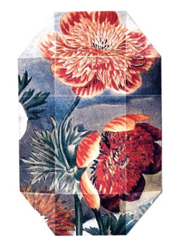 Stella McCartney Print Collection Stella 03 (2011)