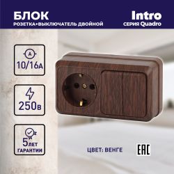 Блок розетка с выключателем Intro Quadro 2-702-10 двойным горизонтальный 10А-250В, IP20, ОУ, венге