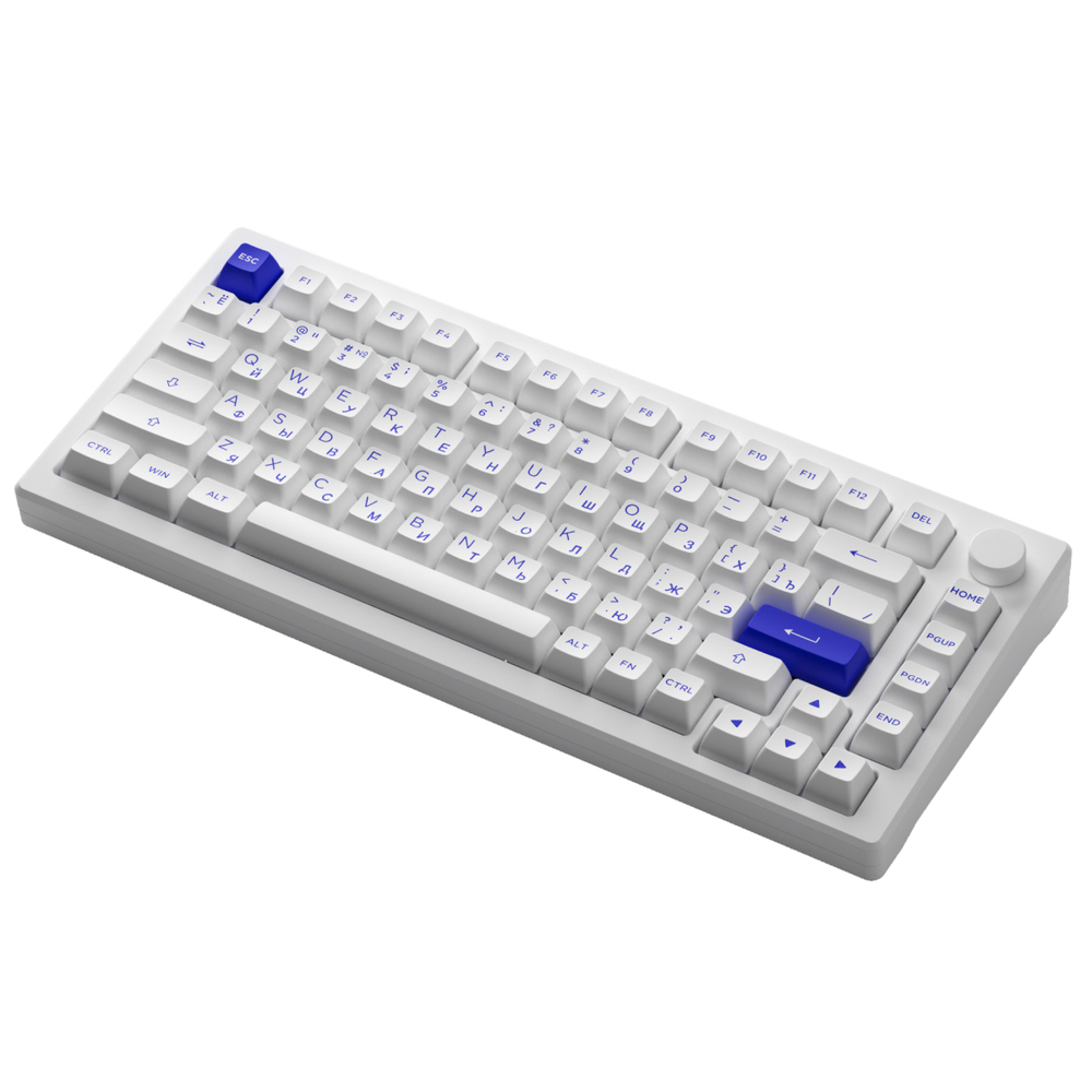 AKKO MOD007B PC Blue&White 3 Modes RGB Hot Swap  Akko V3 Piano Pro Switch,ASA profile keycap