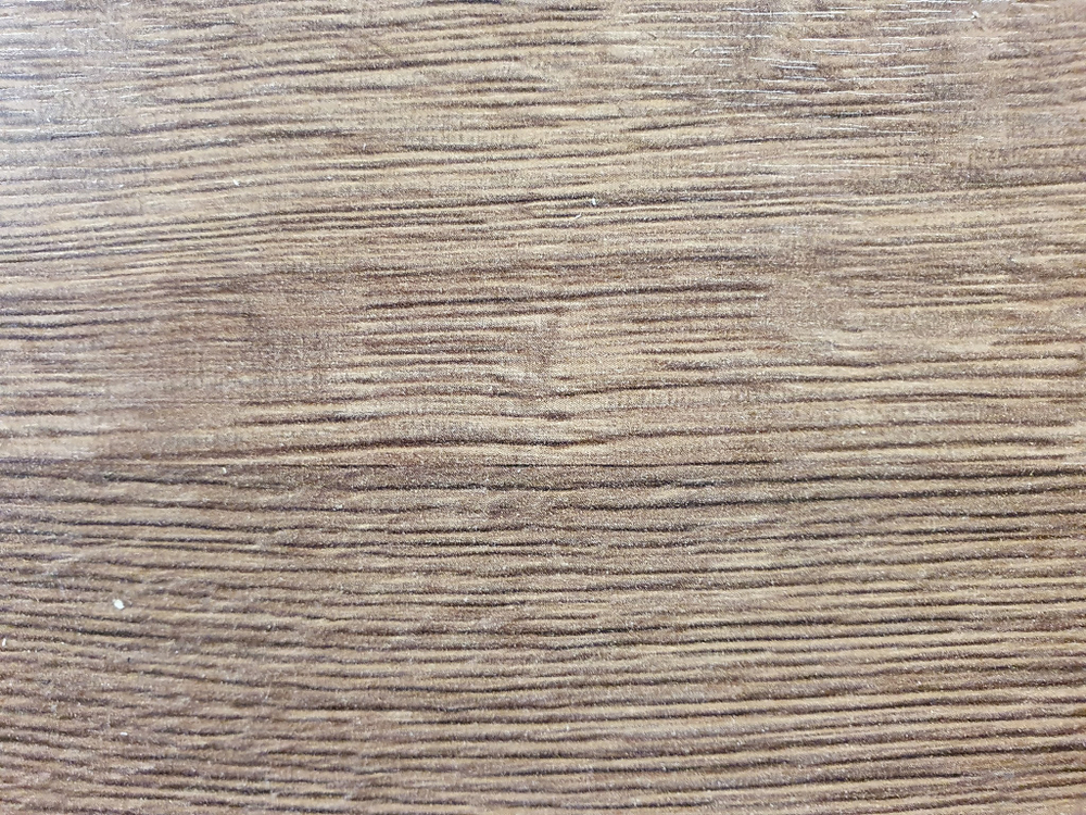 Дуб Веленгтон