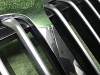 Решетка радиатора BMW X7 G07 (2019-2022)