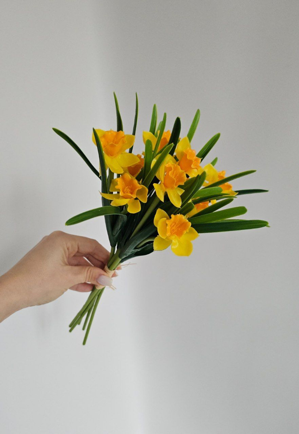 Нарцисс / Арт 2044