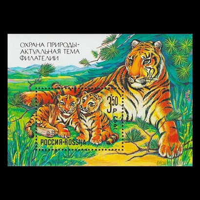 Почтовые блоки РФ