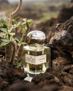 Lengling El Pasajero 1