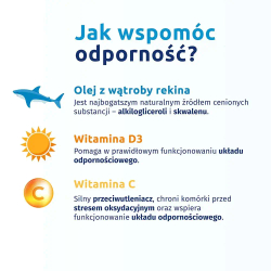 Диетическая добавка Iskial Immuno Max +C, 120 капсул