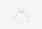 B2WHT_0426526101423