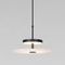 Подвесной светодиодный светильник Eurosvet Thasos 40342 LED черный