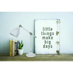 Офисная настольная лампа Arte Lamp BRACCIO