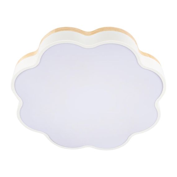 Потолочный светодиодный светильник Loft IT Axel 10225/36 White