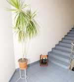 Тепловая пушка электрическая ТЕПЛОМАШ КЭВ-3С41Е серия СЕ КЭВ-ЗС41Е