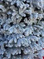 Заснеженная елка с гирляндой «Камчатская» теплый свет (Литая+пвх) от 1,2 м до 4 м