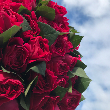 🌸 Дарси — букет английских роз Дэвида Остина — 8 марта у Феи