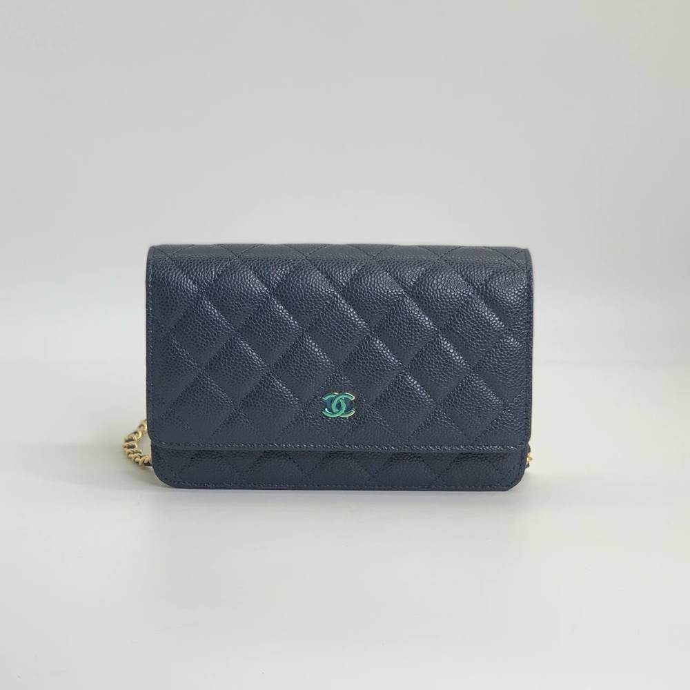 Сумка CHANEL 19 см
