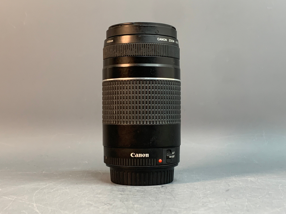 Canon EF 75-300mm 4-5.6 III