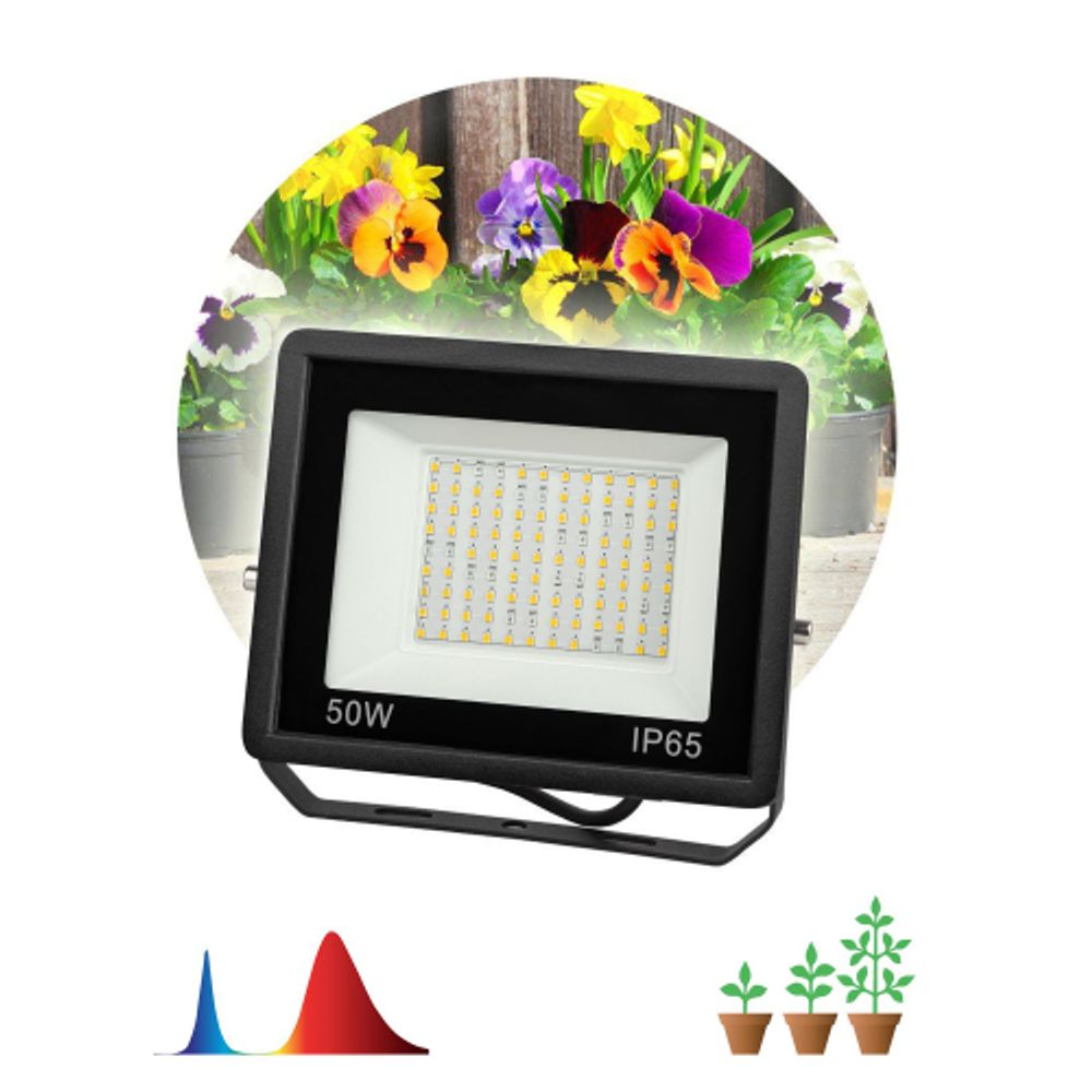 Фитопрожектор для растений светодиодный ЭРА FITO-50W-Ra90-LED для цветения и плодоношения полного спектра 50 Вт | Фито прожекторы