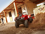 Квадроцикл YAMAHA Segway 300