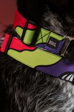 Ошейник Вайб 90-х