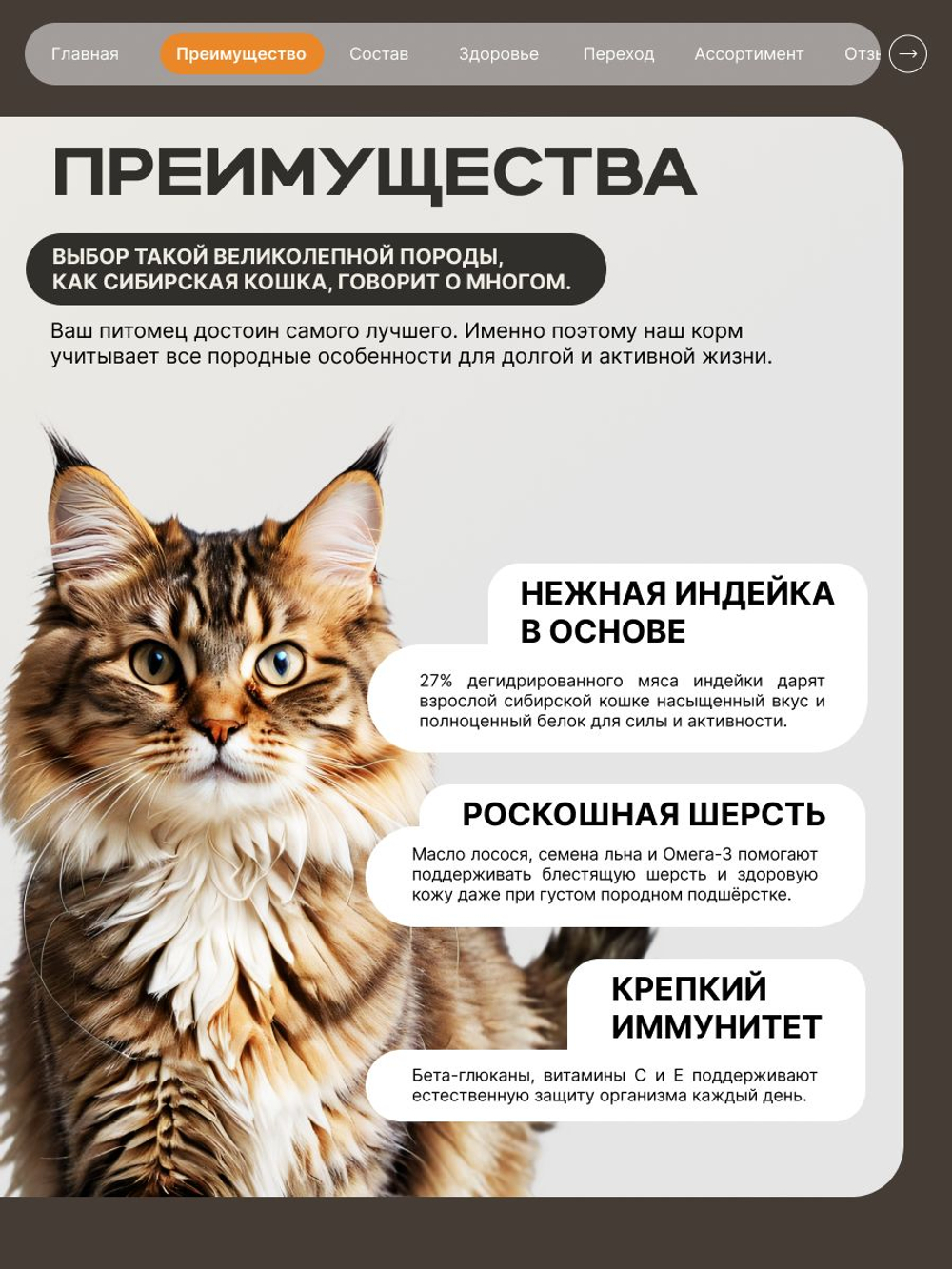 Корм сухой для кошек породы Сибирская кошка, с индейкой, 400 гр, QUATTRO