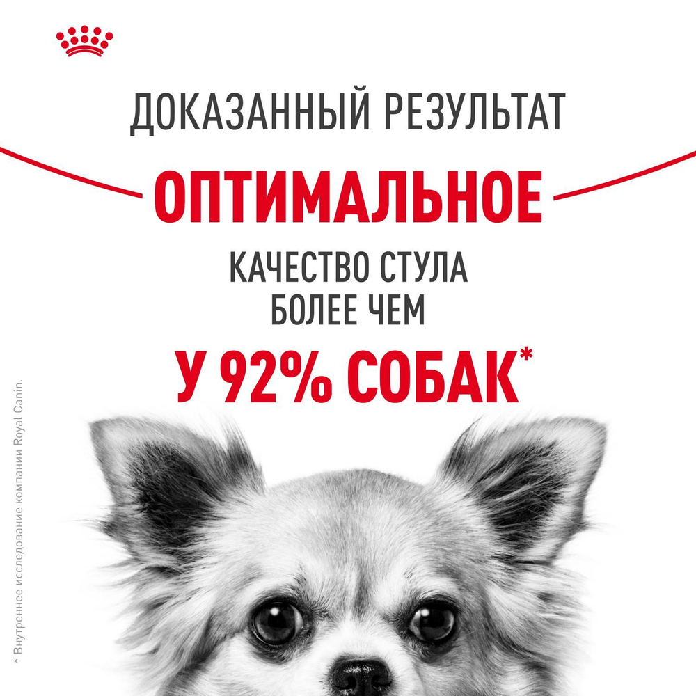 Royal Canin Mini Digestive Care Корм сухой для взрослых собак мелких размеров 3кг
