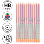 Карандаш DELI "Macaron", НВ, шестигранный корпус, пластик, с ластиком, ассорти