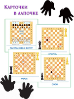 Карточки в лапочке. Финансы (33 карточки с заданием на обороте)